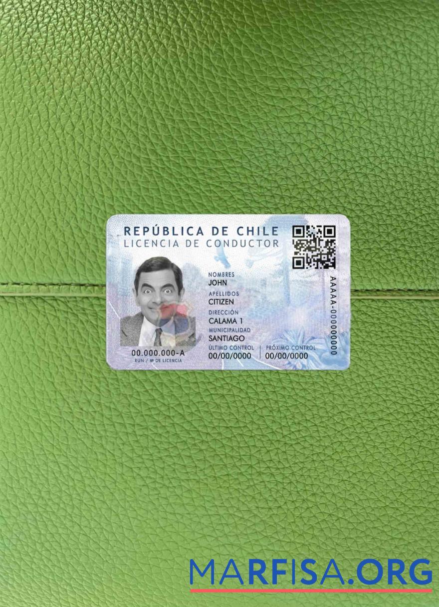 Downloadable Chile Dl psd photolook download for verification
